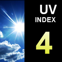 UV Index4