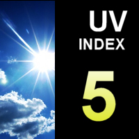 UV Index5